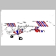 FireFly-RWBFan-WhiteNose.jpg
