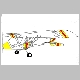 FireFly-YellowRedFan.jpg